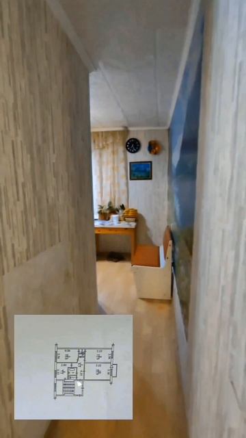 Petal_20260318_131954.mp4