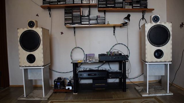 DSC_1314 Акустические системы на динамиках ноэма 100 гдш 47-8.