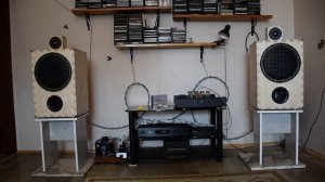 DSC_1314 Акустические системы на динамиках ноэма 100 гдш 47-8.