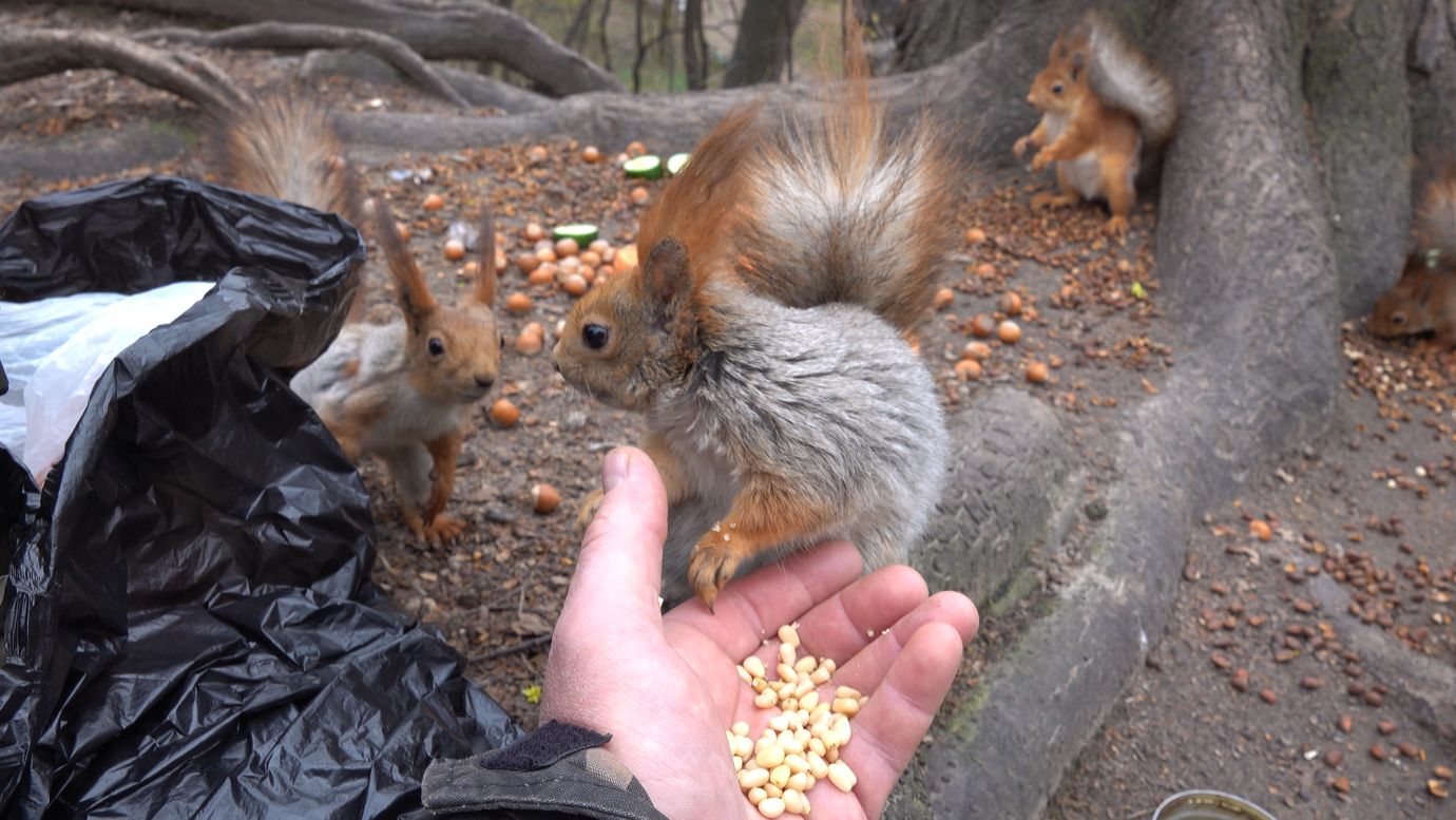 Умница Толстая. Зарисовка