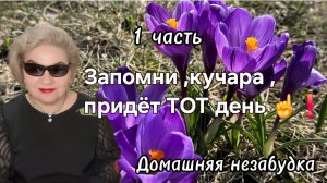 1 часть. Запомни ,кучара ,придёт ТОТ день ☝️❗️