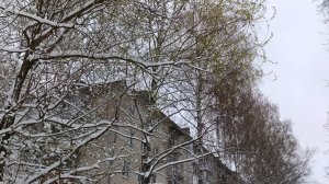 Зима вернулась...(21-04-2026)