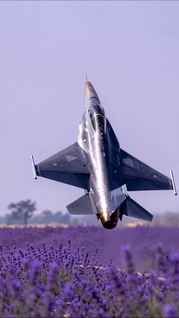 Сразись в небе: истребитель над лавандовым полем #истребитель #авиация #красота