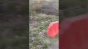 Алеутов грабят ай ай ай.