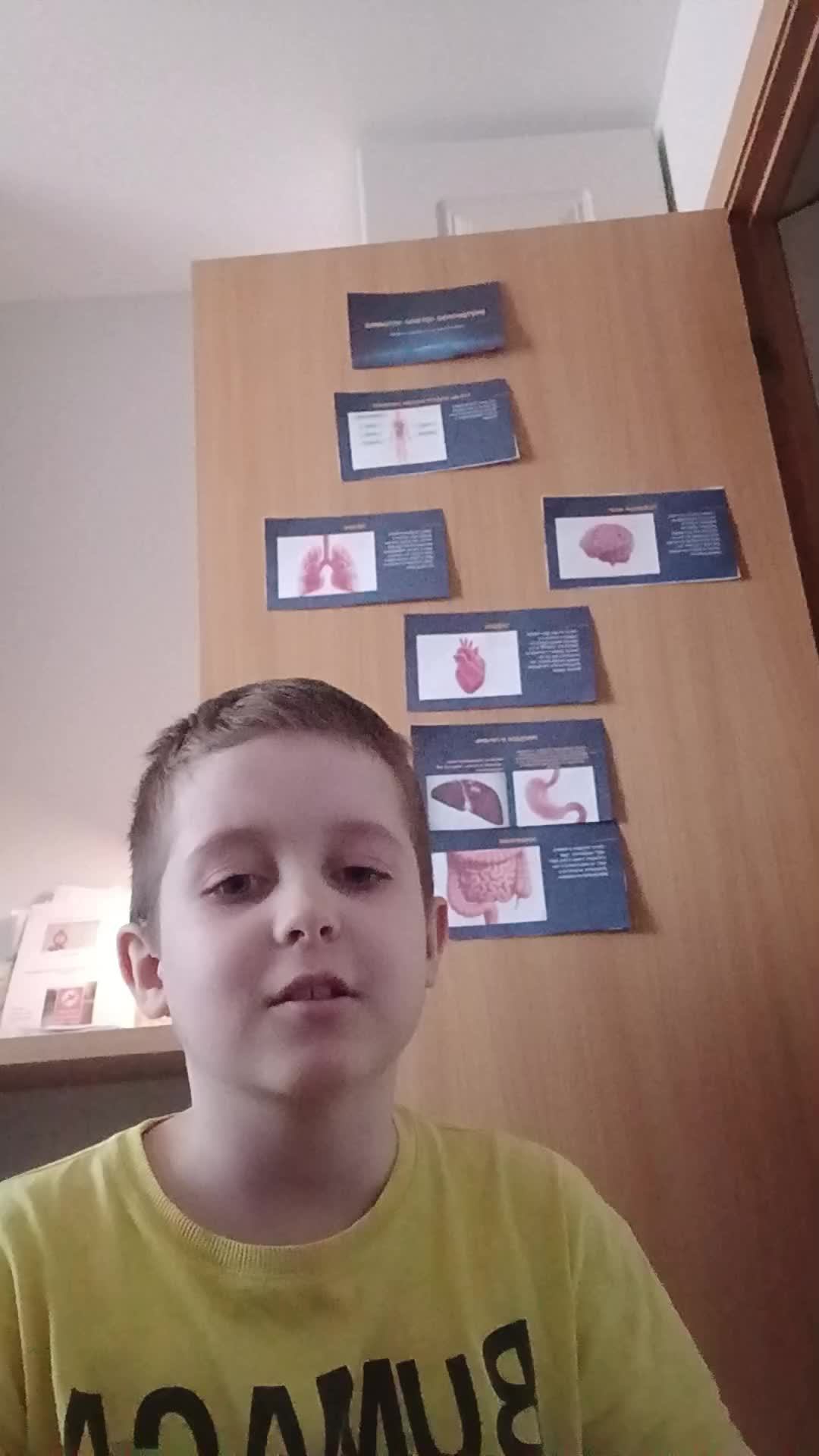 расскажу про внутренней органов человека (поболтаем если хототе)