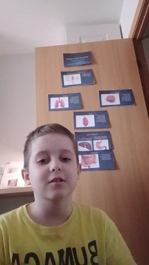 расскажу про внутренней органов человека (поболтаем если хототе)