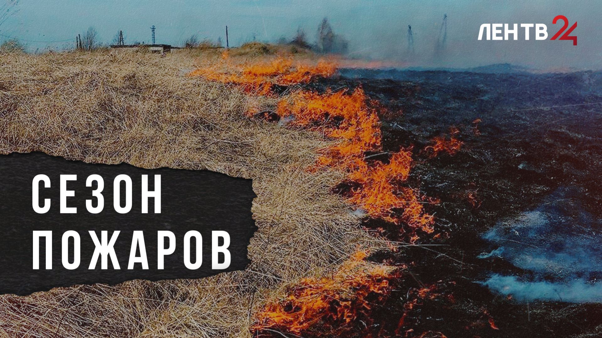 Жженая трава, брошенный окурок, шашлыки: как не сжечь леса и поля в пожароопасный сезон?