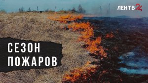 Жженая трава, брошенный окурок, шашлыки: как не сжечь леса и поля в пожароопасный сезон?