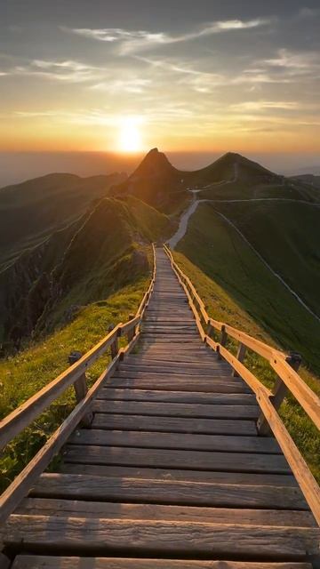 VID_20260421_214335_806.mp4