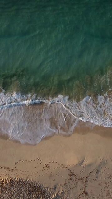 Цитаты, природа, правила, жизнь