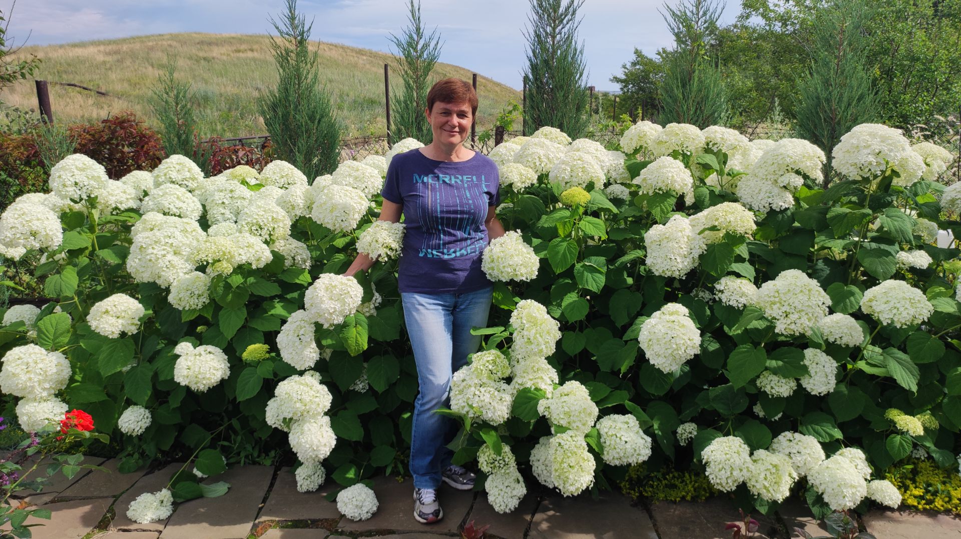 Главная весенняя подкормка гортензий, рододендронов, магнолий, голубики.