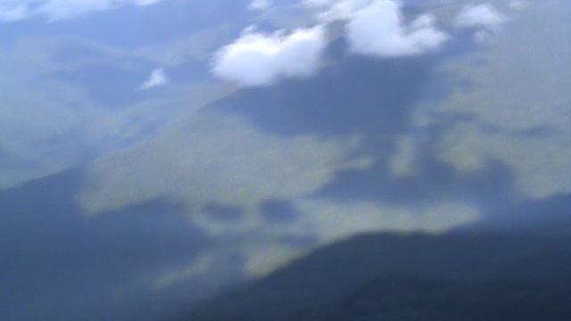 80)П РОЗА ХУТОР