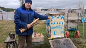 Вот я и пенсионер. Хочу завести пчёл. Порекомендуйте мне то, что пригодится, пчёл и инвентарь