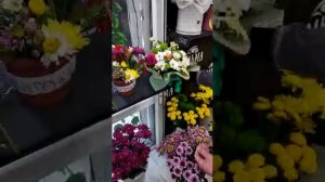 Проверка букетов и композиций