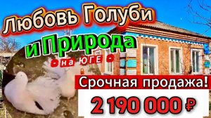🏡 Документы готовы к сделке📌67.3 м2🦯50 соток🦯2 190 000 ₽🦯х. Куликовский🦯89245404992 Виктор С🌴