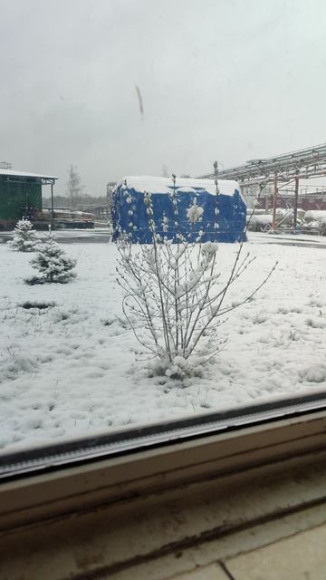 Выпал снег 21.04.26.mp4