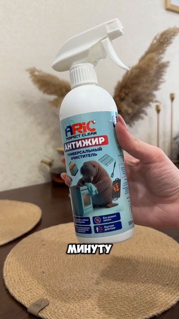 Теперь застывший жир и налет не помеха с помощью антижира ARIC🫶🏻🔥