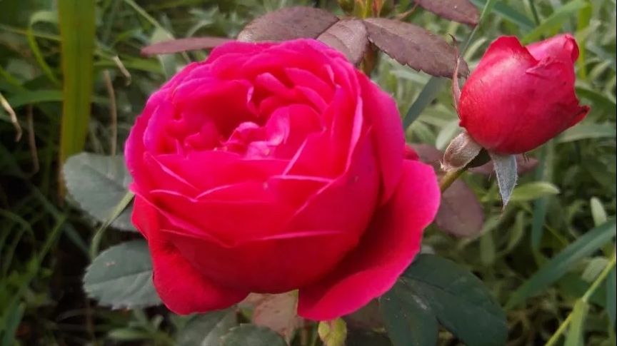 Радоница 21.04.2026 Съездили на Александровское кладбище/Убрались 💐/Светлая Память..🙏🏻🕊