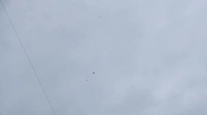 немного о молодых.