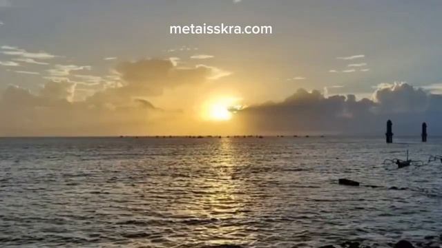 Манифест Космической Радости