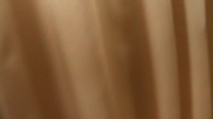 37)Э ВНУТРИ ЛАСТОЧКИНОЕ ГНЕЗДО