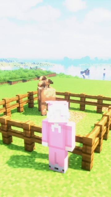 ПРОВЕРКА МИФОВ МАЙНКРАФТА🧐 #майнкрафт #minecraft #видеоигры #игры #проверкамифов