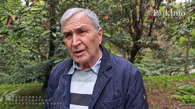 В Сочинском нацпарке на месте крушения самолета Пе-2 № 17-84 периода  ВОВ  установили памятный знак