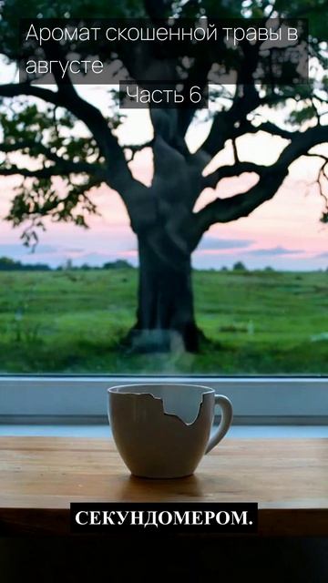 Аромат скошенной травы в августе / Часть 6 / Грустные рассказы / Истории из жизни