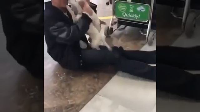 Да любимка ты наш🥰))