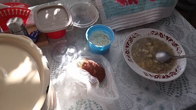 Кошка Дуся рожает котят  Я пеку хлеб  20.03.26