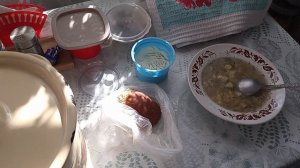 Кошка Дуся рожает котят  Я пеку хлеб  20.03.26