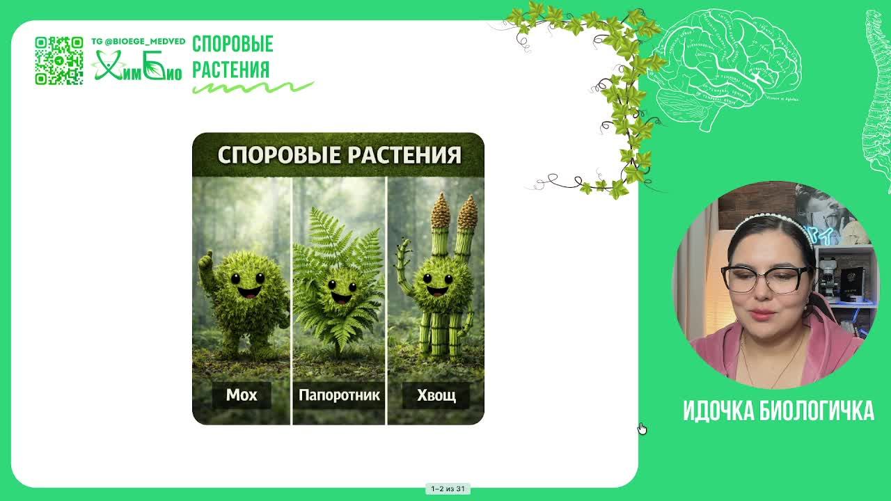 Споровые и Голосеменные