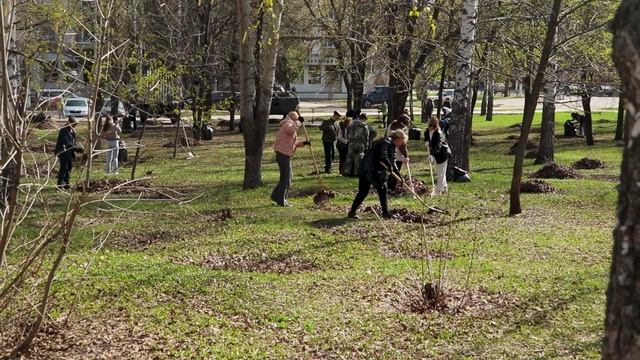 Чистые игры