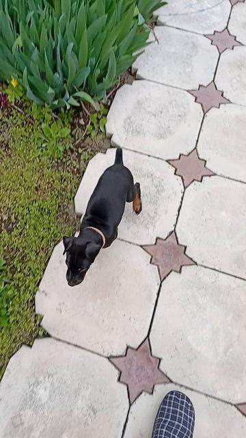 Афина не дает скучать жене! 🤣