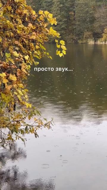 Место, где ты был самым счастливым… #shorts