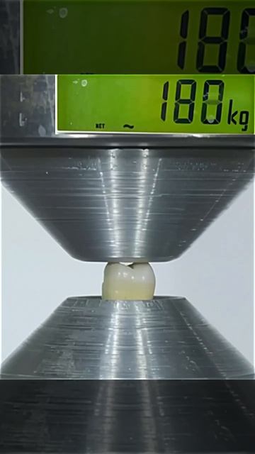 Какую нагрузку может выдержать зуб человека?