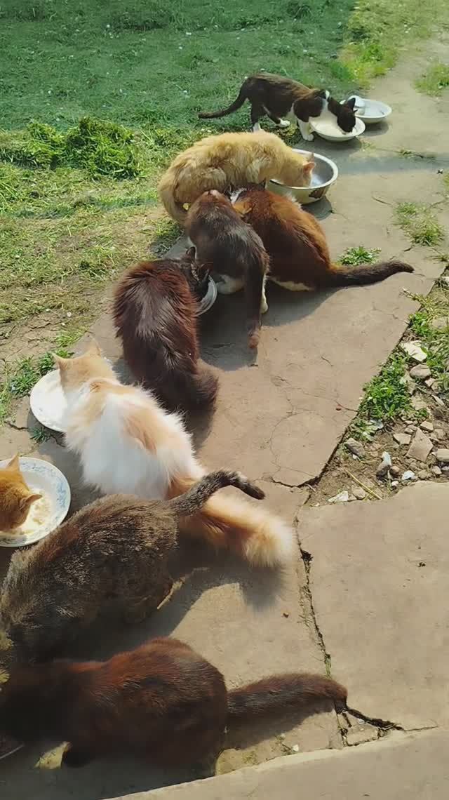 21 апреля🐱😽🐱🥣