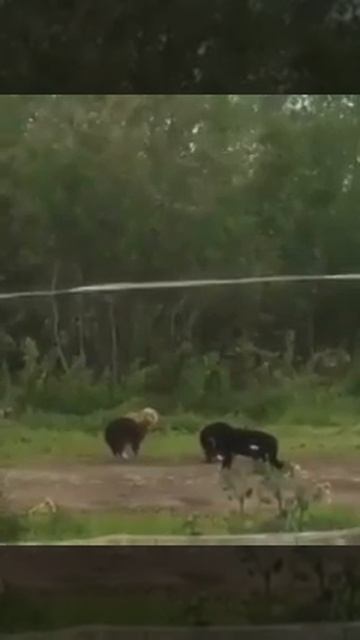 Ce4dd84f7836a8b2079cecd5dfd8ad3a_532350_1775806548.mp4