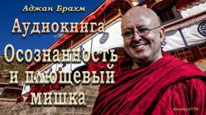 1. Осознанность_и_плюшевый_мишка._Главы_1__Студия_Бодхи