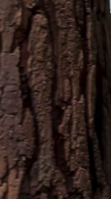 Я не грустный, я просто… 🙃🧸