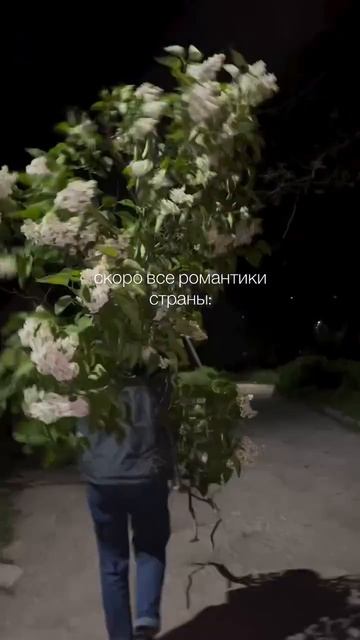 Видео от Департамент Вирусного Контента | ДВК