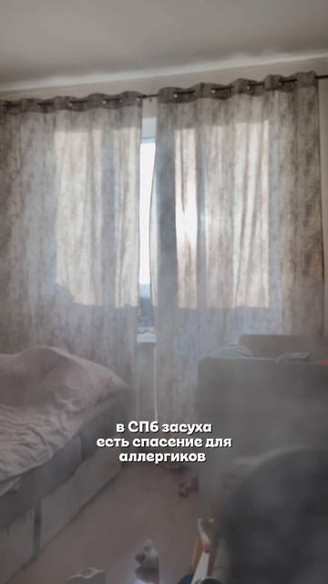 должно быть у каждого аллергика дома ☝🏻 #увлажнитель #ww310587