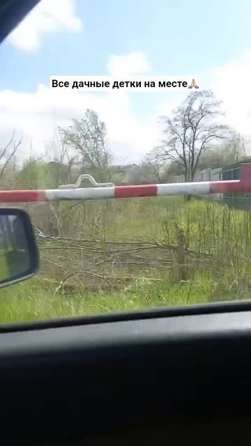 20 апреля 2026 г.