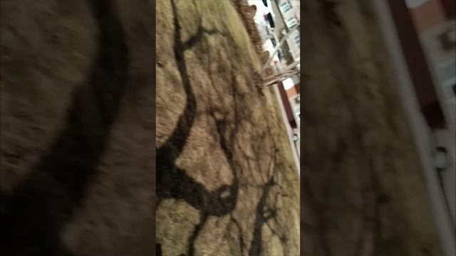 обучалка часть 2