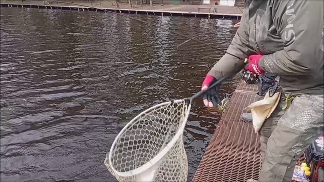 Очень хорошо отрабатывают приманки в форме стика. Рыбалка на спорт зоне. Клёвое место лосиный остров