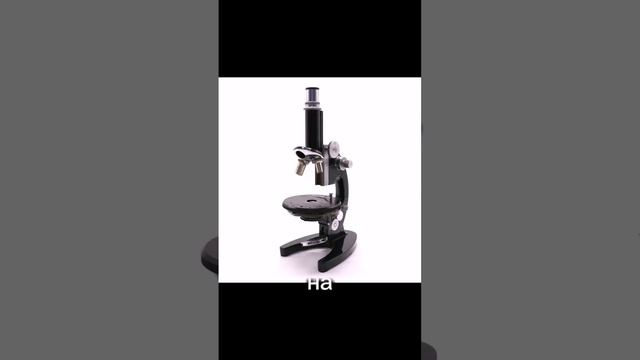 «Волшебный чай и тени за спиной» #ПРОЕКТСОН