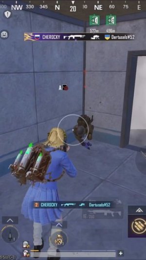 Есть такие?#pubg#pubgmobile#metroroyale