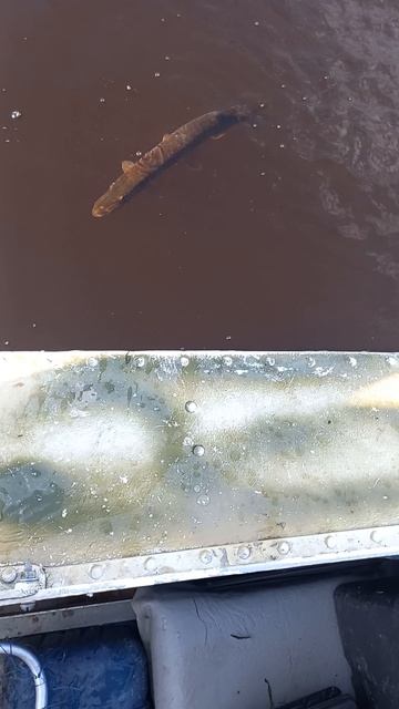 маленький нужно отпустить