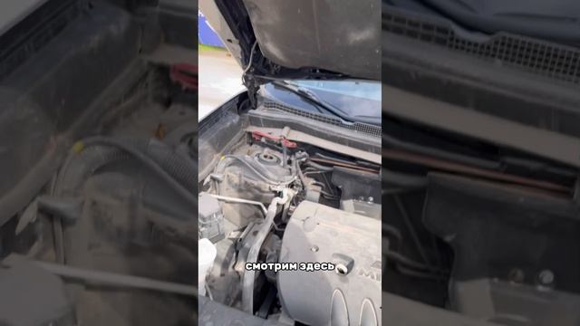 MOV_20260421_120630_306.mp4