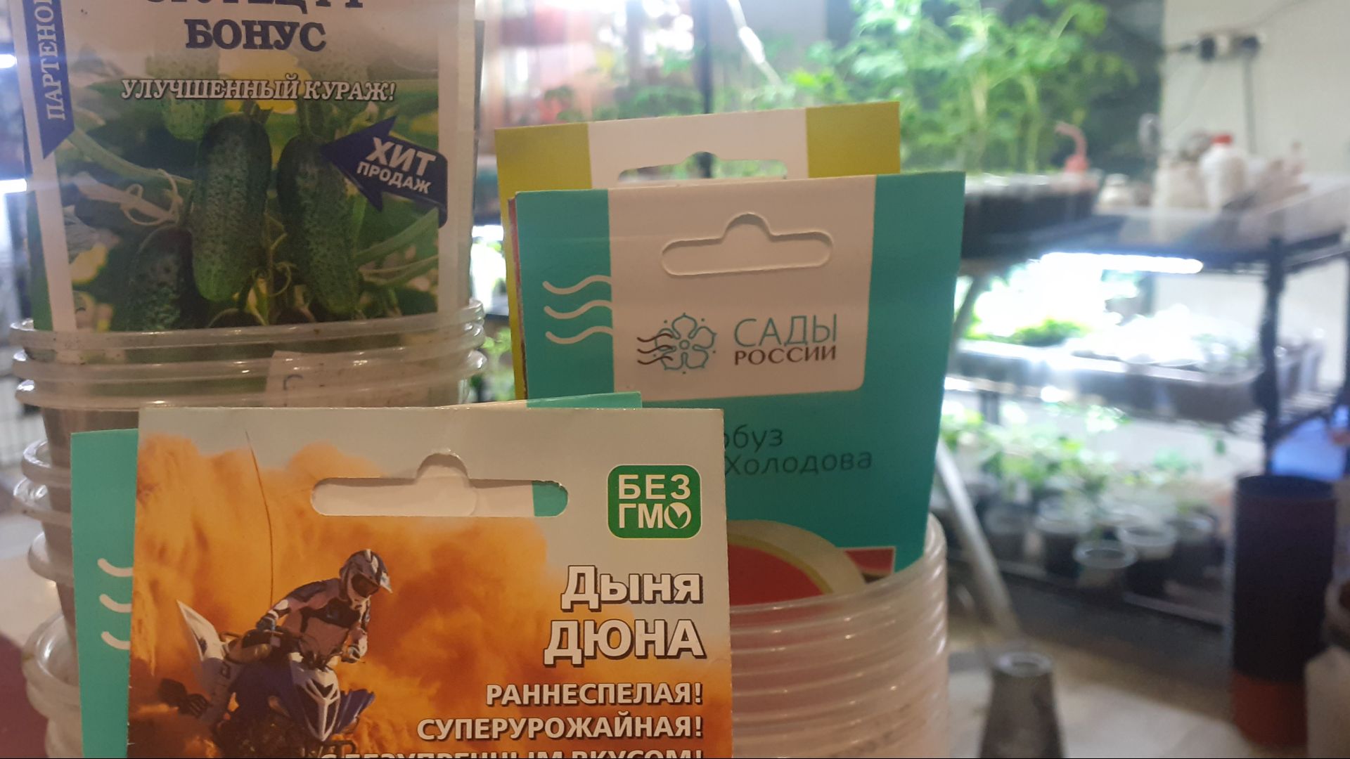 21.04.2025 Какие дыни, арбузы и огурцы буду сеять 22.04